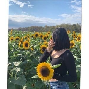 Meet your Posher, Odalys